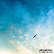 2023香港今晚开奖记录2024-09-25中国水产网