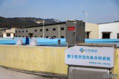 智慧水产养殖系统天柱：智慧系统养的鱼