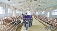 新疆皮山：搞好养殖助增收-养殖网中国养