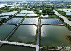 养鱼池水循环系统当传统渔业遇上物联网