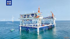 海水养殖 大棚全国首个“风渔融合”型海