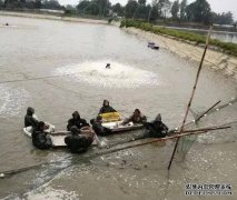 淡水鱼养殖价格排名鲈鱼价格全线飘红存塘告急