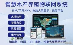 水产养殖告别凭经验！水质监测系统让养殖水质