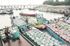 漳州美味海鲜助力健康中国“体重管理年”—闽