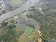 防城港市防城区：水产种苗的“超级粮仓”万千